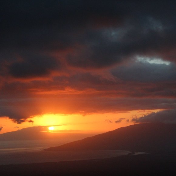 Meet your Posher, Kara - Picture 9 of 16